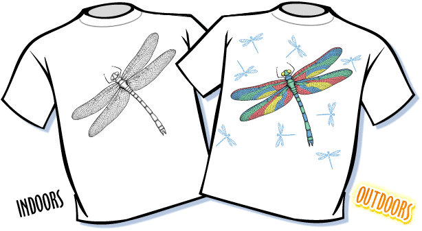 Big Dragonfly Color Changing T-Shirt - Youth