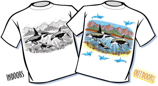 Orca Whales Color Changing T-Shirt - Youth