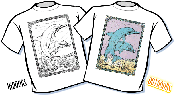Leaping Dolphin Color Changing T-Shirt - Youth