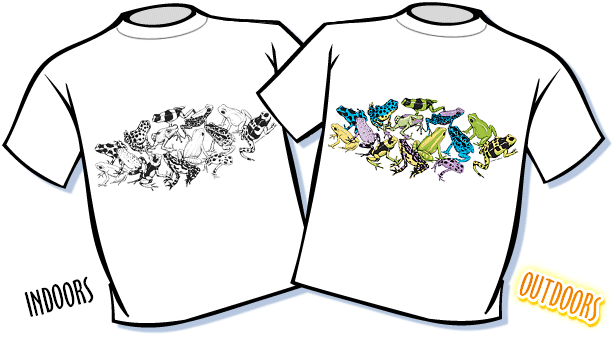 Sun Frogs Color Changing T-Shirt