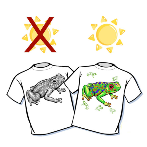 Big Frog Color Changing T-Shirt - Youth