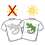 Big Gecko Color Changing T-Shirt - Youth