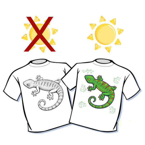 Big Gecko Color Changing T-Shirt - Youth