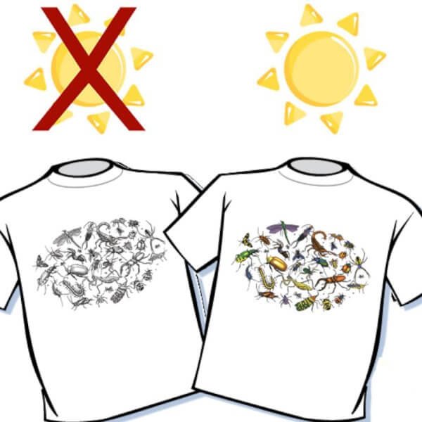 Bugs Color Changing T-Shirt
