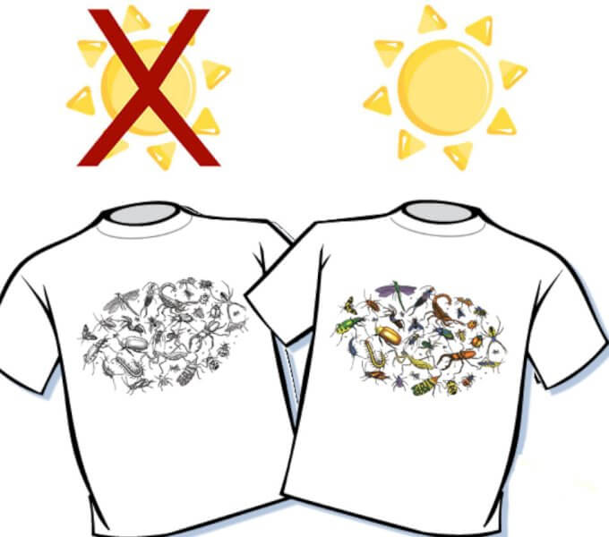 Bugs Color Changing T-Shirt