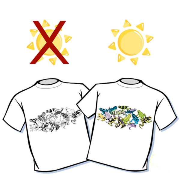 Sun Frogs Color Changing T-Shirt